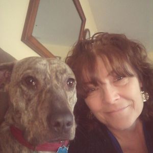 Meet your Posher, Christine